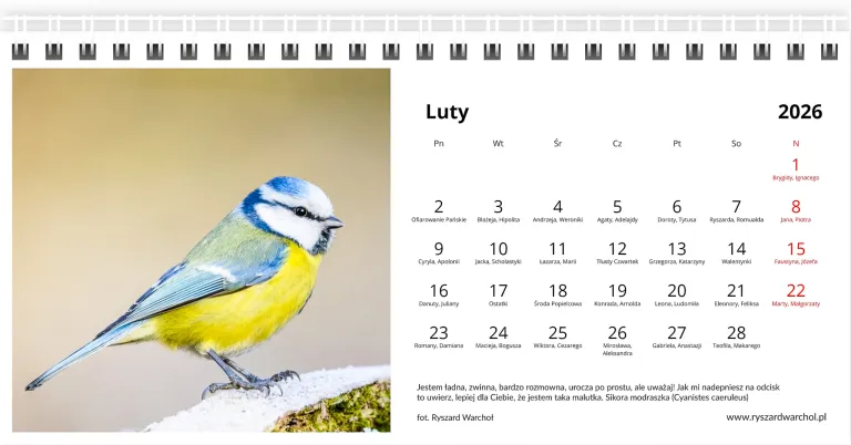 Luty