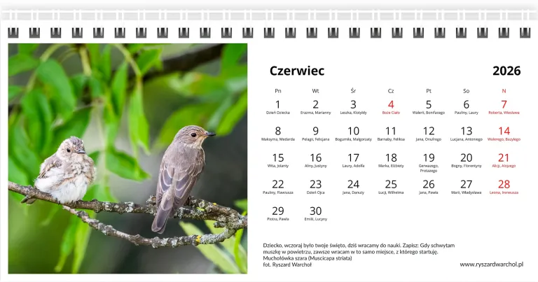 Czerwiec