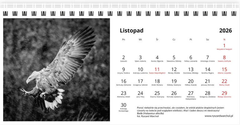 Listopad