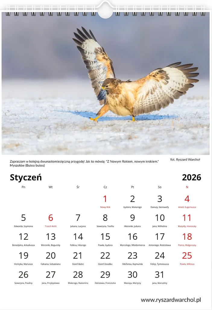 Kalendarz — Styczeń