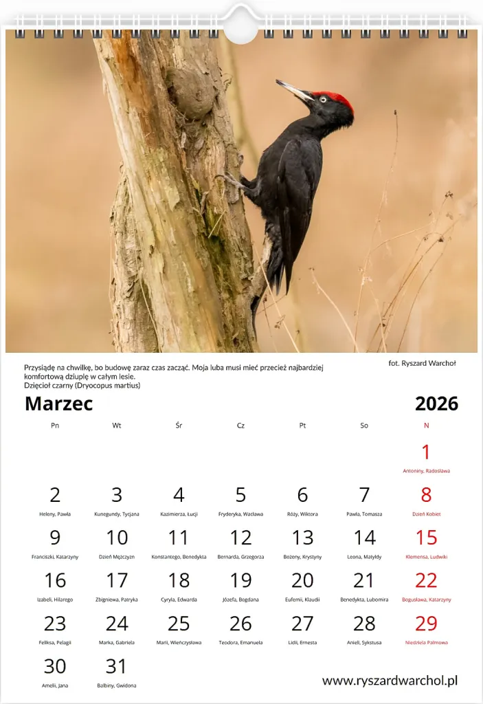 Kalendarz — Marzec