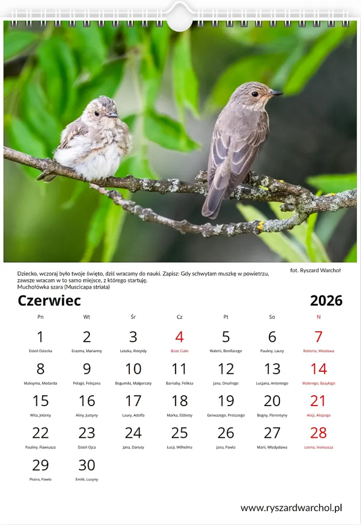 Kalendarz — Czerwiec