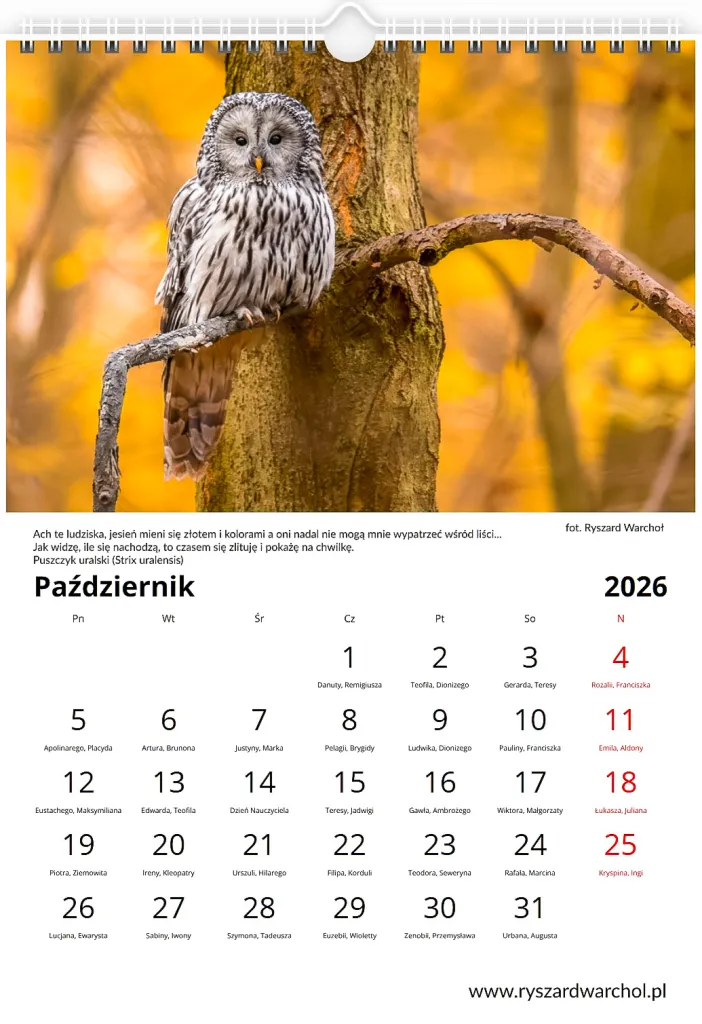 Kalendarz — Październik