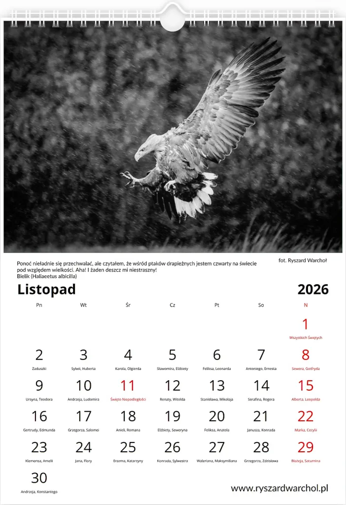 Kalendarz — Listopad