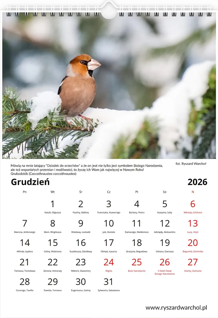 Kalendarz — Grudzień